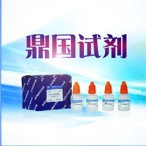 鼎国自产 Taq plus dna polymerase 聚合酶